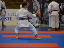 2017 &raquo; Anul 2017 - Campionatele Nationale de karate WUKF 