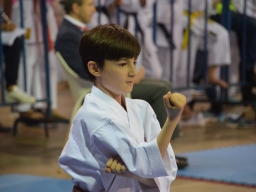 2017 &raquo; Anul 2017 - Campionatul European de karate WUKF
