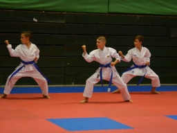 2018 &raquo; Anul 2018 - Cupa Romaniei Karate WUKF 