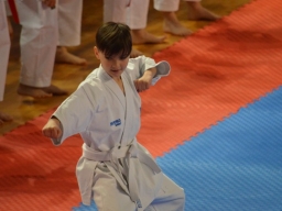2019 &raquo; Anul 2019 - Campionatul European de Karate SKDUN - Muntenegru