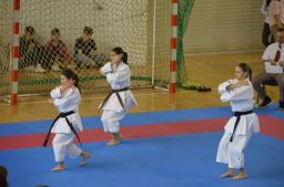 Anul 2025- Campionatul national de Karate WUKF +13 ani 